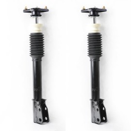 alxiang 2 Pieces Rear Side Shock Strut & Springs Complete 100-4404