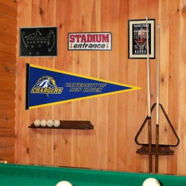 College Flags and Banners Co. University of New Haven Chargers 12 in X 30 in College Pennant