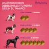 Bio Dogest Probiótico Perros con Cepas de Lobo y Perro