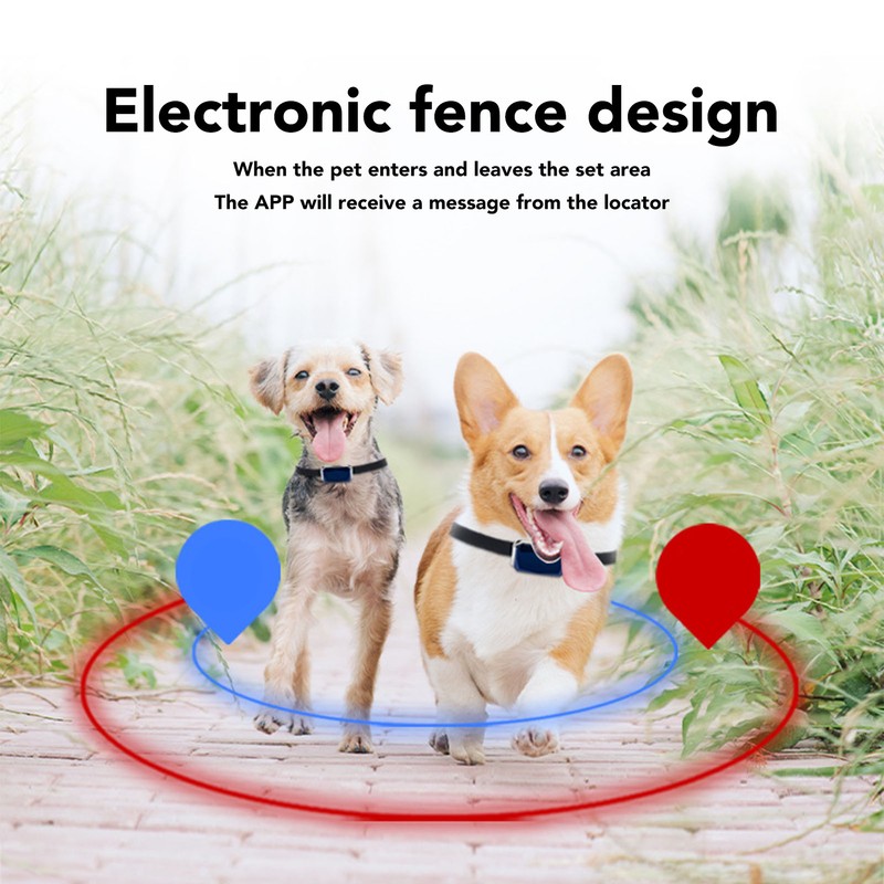 Smart Pet Tracking Collar IP67 Waterproof Prevent Lost High Sensitivity