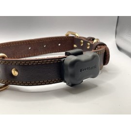 Minimalist Gear Co FitBark Health Fastener - Never Zip Tie Again!