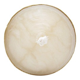 CB Church Supply - Velas devocionales decoradas a mano con imagen enmarcada de cera dorada Will & Baumer - Vela de oración familiar, 8 pulgadas, corazón sagrado