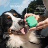 Springer Dog Treat Pouch for Effort-Free Squeeze Dispensing - Easy-fill,