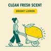 Aunt Fannie's Natural Cleaning Vinegar Wipes, Multipurpose Surface Cleaner, Bright