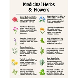 Medicinal Herb and Flower Set - 12 Varieties of Non-GMO & Heirloom Flowers and Herbs - Basil, Cilantro, Calendula, Lavender, Sage, & More!