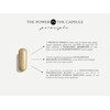 New Generation Supplement for an Enlarged Prostate – Targets The