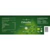 Effective High Chlorophyll Algae Nature Organic Chlorella Tablets – Ideal for Geschmacksempfindliche
