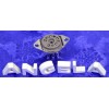 Angela Instruments 9 Pin Bottom Chassis Mount Tube Socket Replacement