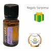 Doterra Pasttense Doterra 15ml Usa