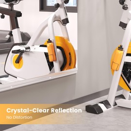 Amorho Home Gym Mirror, 56''x24''(Each)-2PCS Tempered Glass for Wall, Full Body Mirror for Yoga Studios, Dance Rooms, Garage Gyms.