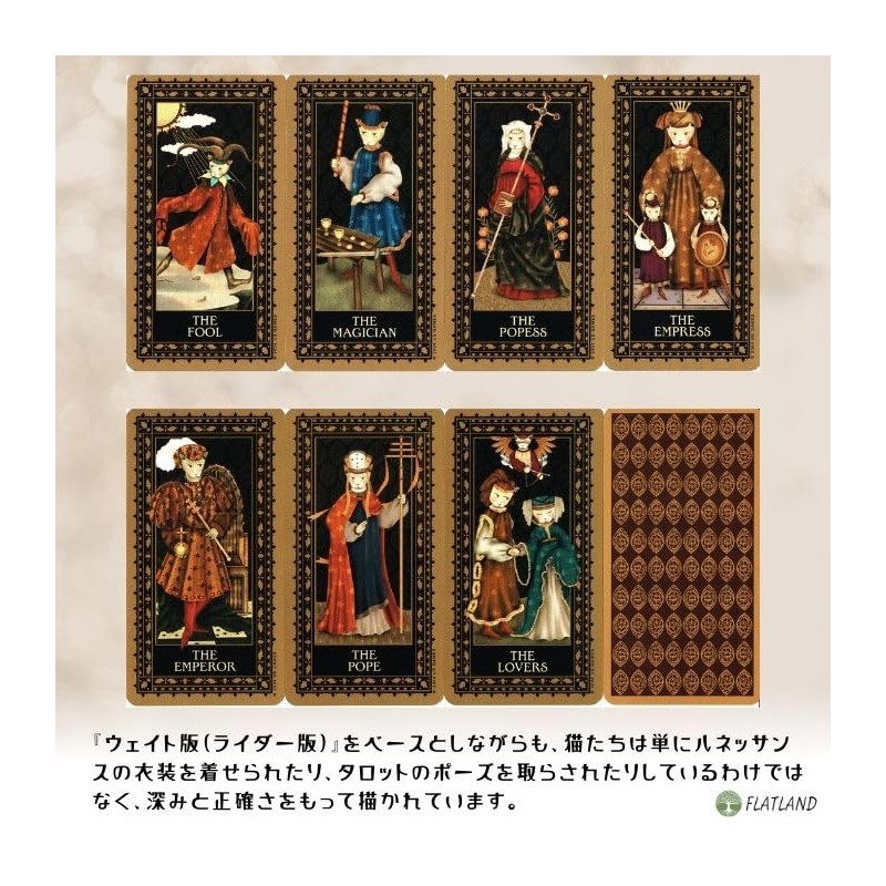 Medieval Cat Tarot Tarot Tarot Divination with Japanese Manual (English