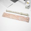 Jasenna Soprano Recorder, Elementary School Student, Beginner, 8 Hole C