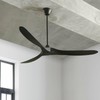 Eliora 36" Ceiling Fan Downrod Accessories with Extended Wires, Only