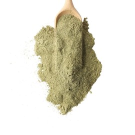 Donguihanjae 동의한재 국산 측백엽 측백잎 분말 가루 300g Dong-ui-han-jae Korean Thuja Leaf Powder 300g