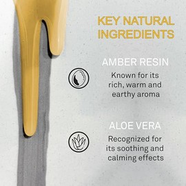 Gel De Baño Amber Glow | Con Infusión De Ámbar Terroso Y Extractos Naturales | 16,9 Oz | Fórmula Suave | Apto Para Todo Tipo De Piel | Sin Parabenos