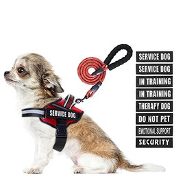 Juego de arnés y correa para perro de servicio, arnés de entrenamiento para perro con 10 parches para perro, correa reflectante para perro con mango acolchado suave para perros pequeños, medianos, grandes y extragrandes (rojo, XS)