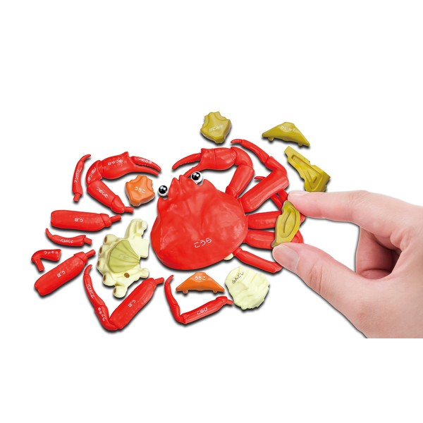 Buy One Cup! This Snow Crab Dismantling Puzzle - With Uchiko