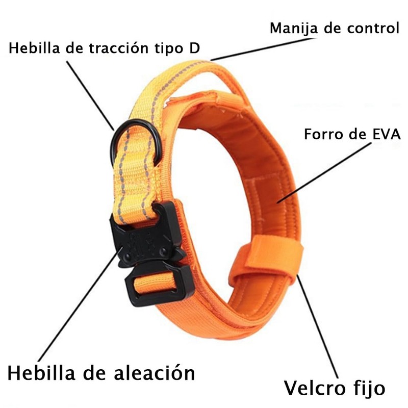 Collar para Perro, Correa para Perro, Collar de Nailon Militar