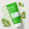 Sande Santte Artemisia Aca Cream 150g Subuji Doctor Sante /