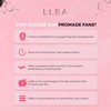 LLBA Promade Mix Fans, Handmade Volume Eyelashes, Multi Selections From