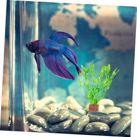 BUGUUYO 10pcs Live Aquarium Plants Fish Tank Plants Rings Filter Decorations Ceramic Plant Pot Ring Accessories Turtle Tank Filters Tool Plant Stand Aquatic Plants Label Simple