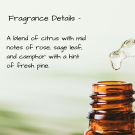  Lotion Bar 3.5 oz Handmade, Use for Massage or Daily Skin Moisturizing, Customize With Optional FREE Additives, Oval Massage Bar Shaped (Sage)