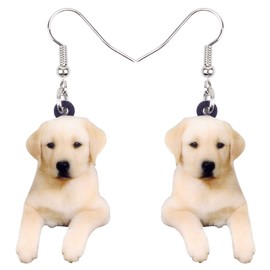 YAYAKO Acrylic Cute Labrador Earrings Dangle Pets Puppy Charms Novelty Dog Gifts for Dog Lovers Women Girls Jewellery Decor, Acrylic, No Gemstone