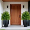 28" Artificial Cedar Topiary Ball Trees, 2 Pack Fake Plants