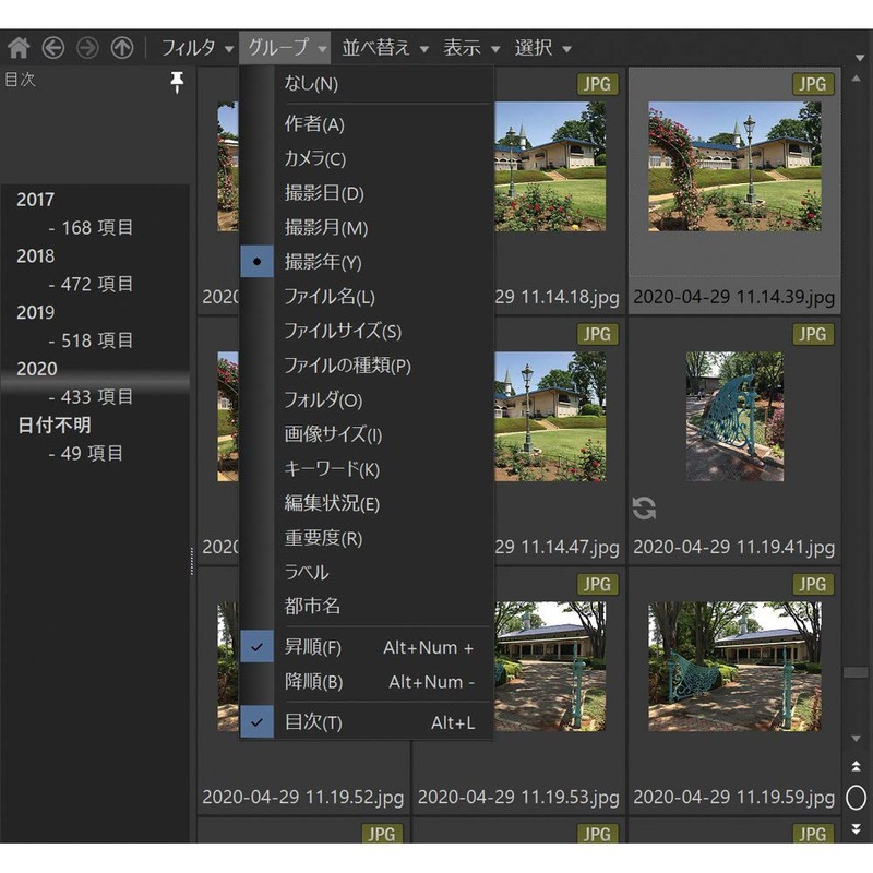 ジャングル ACDSee Photo Studio Professional 2020