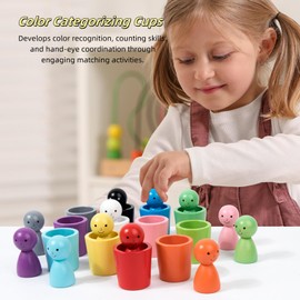 Ryfpdml Colour Sorting Toys for Toddlers,12 Pcs Color Sorting Cups Sorting Sensory Toys, Matching Games Color Sorting Toys,Preschool Educational Learning Colour Toys for Kids Family Party (A)