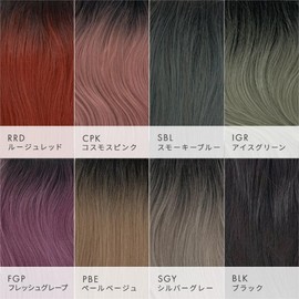 AQUADOLL wgt818-B-SGY Wig Inner Point Collar One-Touch Clip Extensions Bob SGY. Silver Gray