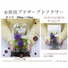 Art Four Seasons Flower Vs. Design SET Lira Preserved Flower