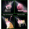 Cat Harnesses and Dog Harness with Leashes Set, Escape Proof