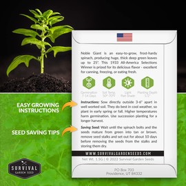 Survival Garden Seeds - Noble Spinach Seed for Planting - 2 Packs with Instructions to Plant and Grow Enormous Spinach Greens in Your Home Vegetable Garden - Non-GMO Heirloom Variety