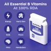 Purolabs Vitamin B Complex High Strength – High Strength VIT