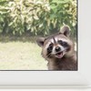 Window Sticker Funny Raccoon I Colourful on Both Sides I