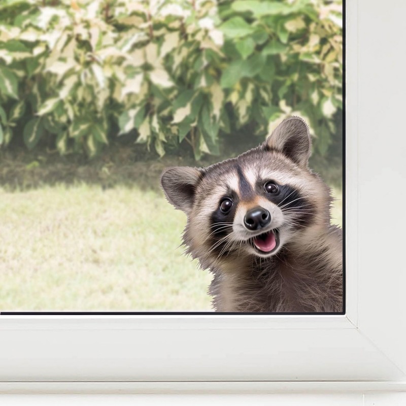 Window Sticker Funny Raccoon I Colourful on Both Sides I