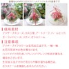 IPFA Preserved Flower Glass Dome Angel Premium (Pink/Birthday Model), Wedding