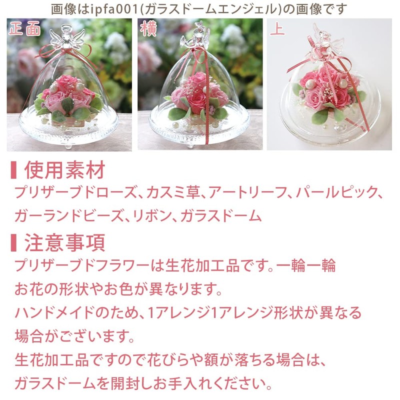 IPFA Preserved Flower Glass Dome Angel Premium (Pink/Birthday Model), Wedding