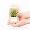 OKA PLYS Pris Green with Small Bird Stick Fuser, Fake