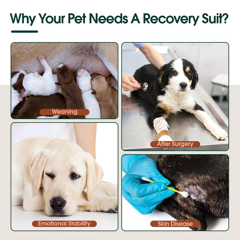 Kuoser Dog Bodysuit After Surgery Dog Bodysuit After Castration Male