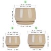 GDSZJLJ Ceramic Indoor Pots for Plants,9.1+7.5+5.9 Inch Set of 3,Flower