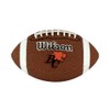Wilson WTF1601DCBC CFL Team Mini-BC Football