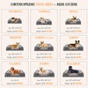 Comfort Expression Large Dog Beds Waterproof Orthopedic Foam Dog Sofa