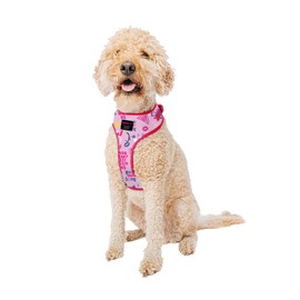 Sassy Woof - Arnés ajustable para perros – Mean Girls – L, malla transpirable, diseño sin tirones con dos anillos en D, diseño patentado, perfecto para perros pequeños y cachorros