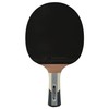 Donic-Schildkröt Waldner 1000 Table Tennis Bat, ABP Handle, Sponge 2.1
