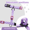 Hikiko Cat Harness and Leash Set Escape Proof Adjustable Walking