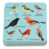 Garden Birds Coasters (set Of 4)