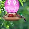 BOLITE 18016-P Comedero para colibríes, Comedero de Cristal para colibríes