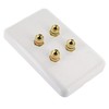 Selby 2.0 Speaker Wall Plate Wallplate Premium Pre-Assembled for 2